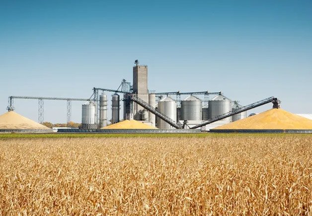 Maize in Ethanol Production